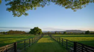 Scenic farm with lush green pastures and a Horserail® flexible rail fence installation creating a safe, durable, and attractive horse enclosure, framed by trees with rolling hills in the distance.
